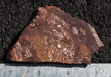 Bargain Bin F Slab 228