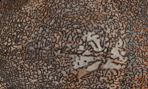 Dinosaur Bone Rock Slab 439