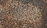 Dinosaur Bone Rock Slab 490