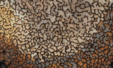 Dinosaur Bone Rock Slab 448