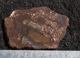 Bargain Bin E Slab 193