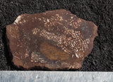 Bargain Bin E Slab 193