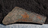 Dinosaur Bone Rock Slab 425