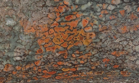 Dinosaur Bone Rock Slab 425