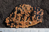 Peanut Obsidian Rock Slab 20