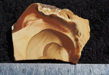 Bruneau Jasper Rock Slab 33