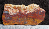 Mexican Moss Agate Rock Slab 67