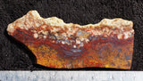 Mexican Moss Agate Rock Slab 282