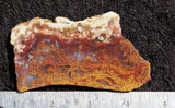 Mexican Moss Agate Rock Slab 299
