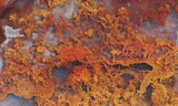Mexican Moss Agate Rock Slab 299