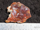 Mexican Moss Agate Rock Slab 75