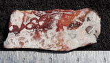 Mexican Crazy Lace Agate Rock Slab 414