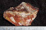 Mexican Crazy Lace Agate Rock Slab 404
