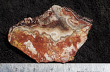 Mexican Crazy Lace Agate Rock Slab 404