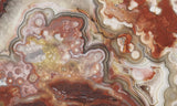 Mexican Crazy Lace Agate Rock slab 0305