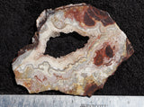 Mexican Crazy Lace Agate Rock Slab 426
