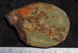 Queensland Agate Slab 51