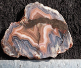 Bargain Bin E Slab 273