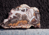 Bargain Bin F Slab 190