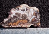 Bargain Bin F Slab 190