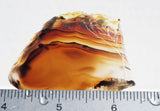 Montana Agate Rock Slab 306