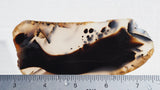Montana Agate Rock Slab 166