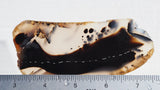 Montana Agate Rock Slab 166