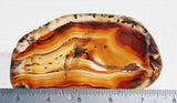 Montana Agate Rock Slab 300