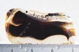 Bargain Bin F Slab 202