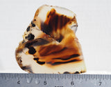 Bargain Bin E Slab 281
