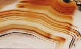 Montana Agate Rock Slab 269