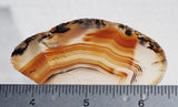 Montana Agate Rock Slab 269