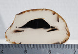 Montana Agate Rock Slab 175