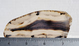 Montana Agate Rock Slab 181