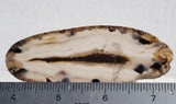 Montana Agate Rock Slab 170