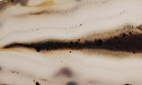 Montana Agate Rock Slab 170