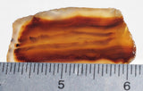 Montana Agate Rock Slab 307