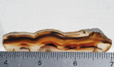 Montana Agate Rock Slab 308
