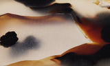 Montana Agate Rock Slab 299