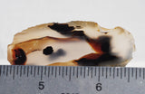 Montana Agate Rock Slab 299