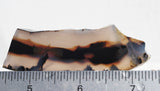Montana Agate Rock Slab 195