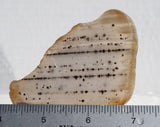 Montana Agate Rock Slab 302