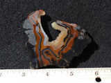 Piranha Slab 83