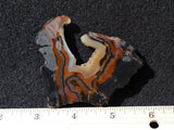 Piranha Slab 83