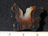 Piranha Slab 84
