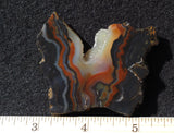 Piranha Slab 84