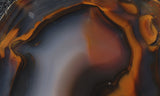 Piranha Slab 81