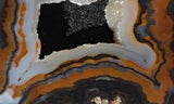 Piranha Slab 76