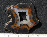 Piranha Slab 76