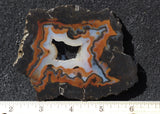 Piranha Slab 75